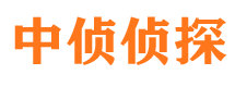 宝丰侦探公司